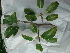  ( - IIBCE14)  @11 [ ] Unspecified (default): All Rights Reserved  Unspecified Unspecified