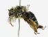  ( - BBSL997391)  @11 [ ] CreativeCommons - Attribution Non-Commercial (2018) Unspecified University of Minnesota