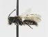  ( - CESU-00008)  @12 [ ] CreativeCommons - Attribution Non-Commercial (2018) Unspecified University of Minnesota