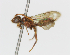  ( - CESU-00140)  @13 [ ] CreativeCommons - Attribution Non-Commercial (2018) Unspecified University of Minnesota