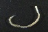  ( - ZMBN_160971)  @11 [ ] Creative Commons BY NC SA (2024) University of Bergen Natural History Collections