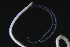  ( - ZMBN_161314)  @11 [ ] Creative Commons BY NC SA (2024) University of Bergen Natural History Collections