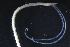  ( - ZMBN_161314)  @11 [ ] Creative Commons BY NC SA (2024) University of Bergen Natural History Collections