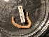  ( - ZMBN_161266)  @11 [ ] Creative Commons BY NC SA (2024) University of Bergen Natural History Collections