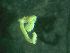  ( - ZMBN_172875)  @11 [ ] Creative Commons BY NC SA (2025) University of Bergen Natural History Collections