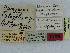  ( - CCDB-08662-A10)  @11 [ ] CreativeCommons - Attribution Non-Commercial Share-Alike (2014) Museum national d'Histoire naturelle  Muséum national d'Histoire naturelle