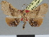  ( - CCDB-08662-B01)  @11 [ ] CreativeCommons - Attribution Non-Commercial Share-Alike (2014) Museum national d'Histoire naturelle  Muséum national d'Histoire naturelle
