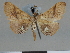  ( - CCDB-08662-B01)  @11 [ ] CreativeCommons - Attribution Non-Commercial Share-Alike (2014) Museum national d'Histoire naturelle  Muséum national d'Histoire naturelle