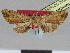  ( - CCDB-08662-C02)  @11 [ ] CreativeCommons - Attribution Non-Commercial Share-Alike (2014) Museum national d'Histoire naturelle  Muséum national d'Histoire naturelle