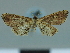  ( - CCDB-08662-C02)  @11 [ ] CreativeCommons - Attribution Non-Commercial Share-Alike (2014) Museum national d'Histoire naturelle  Muséum national d'Histoire naturelle