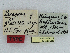  ( - CCDB-08662-C03)  @11 [ ] CreativeCommons - Attribution Non-Commercial Share-Alike (2014) Museum national d'Histoire naturelle  Muséum national d'Histoire naturelle