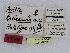  ( - CCDB-08662-C07)  @11 [ ] CreativeCommons - Attribution Non-Commercial Share-Alike (2014) Museum national d'Histoire naturelle  Muséum national d'Histoire naturelle