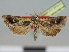  ( - CCDB-08662-C09)  @11 [ ] CreativeCommons - Attribution Non-Commercial Share-Alike (2014) Museum national d'Histoire naturelle  Muséum national d'Histoire naturelle