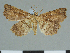  ( - CCDB-08662-D07)  @11 [ ] CreativeCommons - Attribution Non-Commercial Share-Alike (2014) Museum national d'Histoire naturelle  Muséum national d'Histoire naturelle