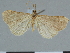  ( - CCDB-08662-D12)  @11 [ ] CreativeCommons - Attribution Non-Commercial Share-Alike (2014) Museum national d'Histoire naturelle  Muséum national d'Histoire naturelle