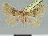 ( - CCDB-08662-E11)  @11 [ ] CreativeCommons - Attribution Non-Commercial Share-Alike (2014) Museum national d'Histoire naturelle  Muséum national d'Histoire naturelle