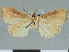  ( - CCDB-08662-F05)  @11 [ ] CreativeCommons - Attribution Non-Commercial Share-Alike (2014) Museum national d'Histoire naturelle  Muséum national d'Histoire naturelle