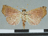  ( - CCDB-08662-F08)  @11 [ ] CreativeCommons - Attribution Non-Commercial Share-Alike (2014) Museum national d'Histoire naturelle  Muséum national d'Histoire naturelle