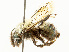  ( - DRP06081)  @11 [ ] CreativeCommons - Attribution Non-Commercial Share-Alike  Unspecified Unspecified