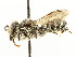  ( - DRP06122)  @11 [ ] CreativeCommons - Attribution Non-Commercial Share-Alike  Unspecified Unspecified