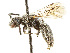  ( - DRP06044)  @11 [ ] CreativeCommons - Attribution Non-Commercial Share-Alike  Unspecified Unspecified