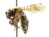  ( - DRP06063)  @11 [ ] CreativeCommons - Attribution Non-Commercial Share-Alike  Unspecified Unspecified