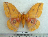  ( - BC-MN0033)  @13 [ ] Copyright (2010) M. Newport Research Collection of Mike Newport