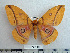  ( - BC-MN0034)  @14 [ ] Copyright (2010) M. Newport Research Collection of Mike Newport