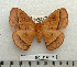  ( - BC-MN0189)  @11 [ ] Copyright (2010) M. Newport Research Collection of Mike Newport