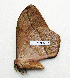  ( - BC-MN0232)  @11 [ ] CCby (2024) Mike Newport Research collection of Mike Newport