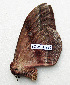 ( - BC-MN0234)  @11 [ ] CCby (2024) Mike Newport Research collection of Mike Newport