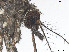  ( - VAITC4683A)  @13 [ ] CreativeCommons - Attribution Non-Commercial (2014) Jana Batovska Department of Primary Industries