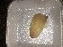  ( - BOLD-3K4IZ7EO3)  @11 [ ] Copyright (2017) Unspecified Unspecified