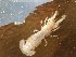  ( - BOLD-3K5D7BLR1)  @11 [ ] Copyright (2018) LifeScanner LifeScanner