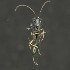 ( - BOLD-3M5AXO4K1)  @12 [ ] Copyright (2018) LifeScanner LifeScanner