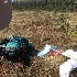 ( - BOLD-0DIONRLG1)  @11 [ ] Copyright (2017) LifeScanner Unspecified