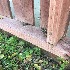  ( - BOLD-0E7MGQ1O0)  @11 [ ] Copyright (2017) Unspecified Unspecified