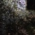  ( - BOLD-3K6ABQ9Y6)  @11 [ ] Copyright (2017) LifeScanner Unspecified