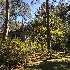  ( - BOLD-3KYQS07J6)  @11 [ ] Copyright (2017) LifeScanner Unspecified