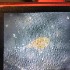  ( - BOLD-0DI2HBKC6)  @11 [ ] Copyright (2018) LifeScanner Unspecified