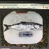  ( - BOLD-0DK9QP650)  @11 [ ] Copyright (2018) LifeScanner LifeScanner