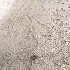  ( - BOLD-0EG84WQH0)  @11 [ ] Copyright (2017) Unspecified Unspecified