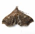  ( - BOLD-3N7JMCL82)  @12 [ ] Copyright (2018) LifeScanner LifeScanner