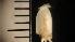  (Onychoteuthis banksii - MOCAR700-F11)  @11 [ ] CreativeCommons  Attribution Non-Commercial Share-Alike (2019) (2015) Lourdes Vasquez-Yeomans El Colegio de la Frontera Sur