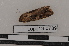  ( - Lope13-0789)  @12 [ ] CreativeCommons - Attribution Non-Commercial Share-Alike (2014) ECODIV Univ Rouen