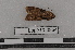  ( - Lope13-0854)  @12 [ ] CreativeCommons - Attribution Non-Commercial Share-Alike (2014) ECODIV Univ Rouen