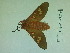  ( - Lope13-0219)  @13 [ ] CreativeCommons - Attribution Non-Commercial Share-Alike (2014) ECODIV Univ Rouen