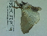  ( - Lope13-0456)  @12 [ ] CreativeCommons - Attribution Non-Commercial Share-Alike (2014) ECODIV Univ Rouen