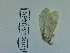  ( - Lope13-0469)  @12 [ ] CreativeCommons - Attribution Non-Commercial Share-Alike (2014) ECODIV Univ Rouen