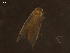  ( - LOPE14-Lepido0336)  @12 [ ] CreativeCommons - Attribution Non-Commercial Share-Alike (2014) Louis Auger ECODIV